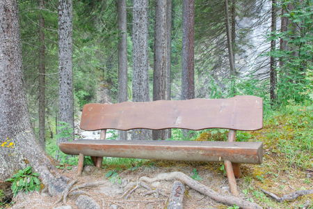 Empty bench in a Swiss forrest - Loneliness conceptの写真素材