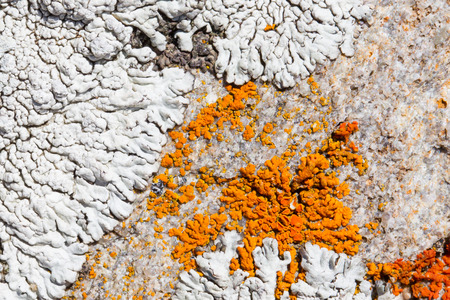 Close up old rock or stone texture, nature backgroundの写真素材