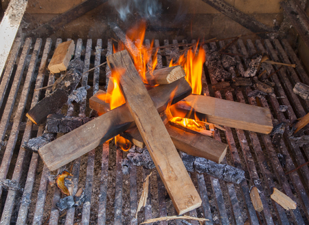 Fire is getting ready for a bbq