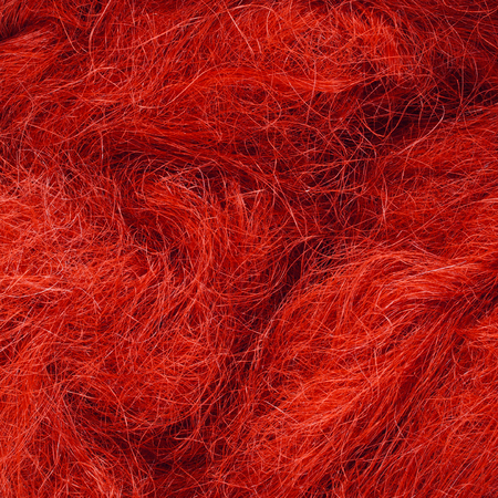 Wild hair in a close-up ,macro photographyの写真素材