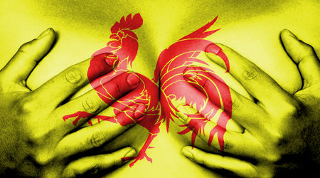 Upper part of female body, hands covering breasts, flag of Walloniaの写真素材