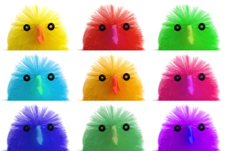Collection of easter chicks, close-up, isolated on white