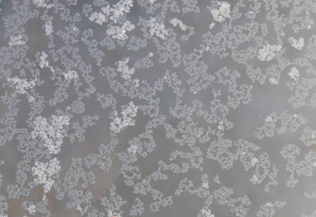 Dangerous polluted drinking water, stuff floating on the surfaceの写真素材