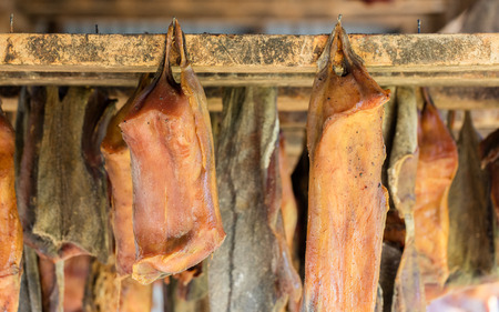 Iceland's fermented shark at Bjarnarhofn Shark Museum (drying house, Iceland)のeditorial素材