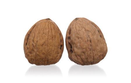 Walnut isolated on white background - With shadow