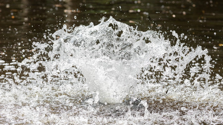 Formation water, splashing fountain, selective focus on the centerの写真素材