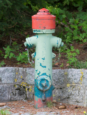 Green fire hydrant on a city sidewalk, Austria