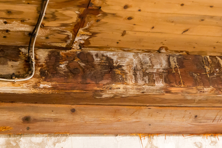 Water damaged ceiling and wall, leakage in an old building