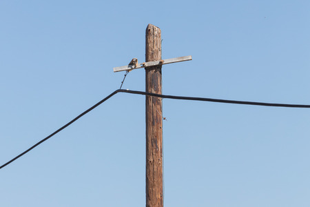 Electicity wires hanging in the blue sky - Selective focus