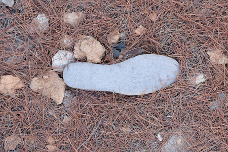 Pollution in Greece - Shoe left in natureの写真素材