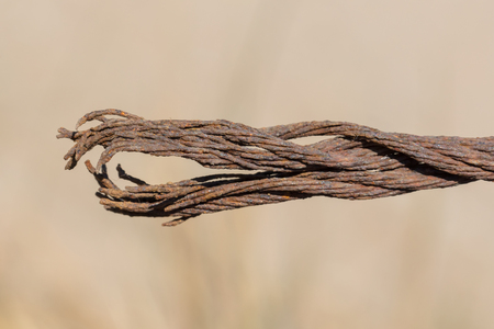 Abandoned rusty steel cable waiting to be used - Selective focusの写真素材