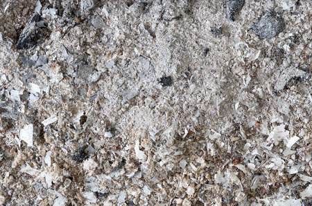 Ash in a fireplace - Remnants of a cosey night at the fireplace