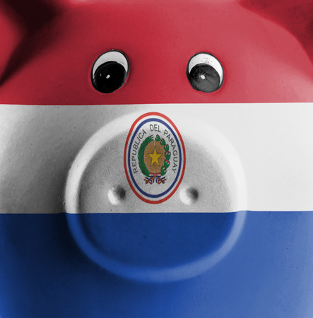 Ceramic piggy bank with painting of national flag, Paraguayの写真素材