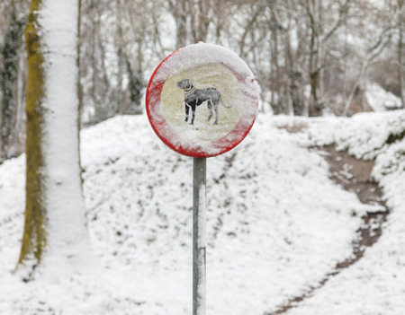Sign in the bushes - dogs forbidden, covered in snowの写真素材
