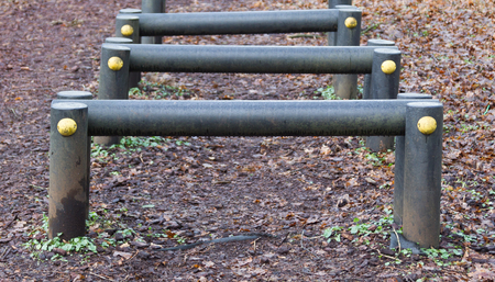 Fitness equipment in a forest - One stage of many - Netherlands