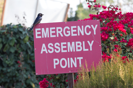 Red emergency assembly point sign with a bird on itの写真素材