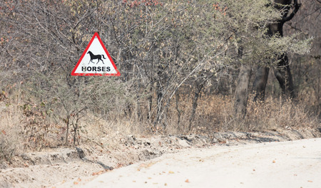 Sign at the side of the road, warning for horses - Botswanaの写真素材