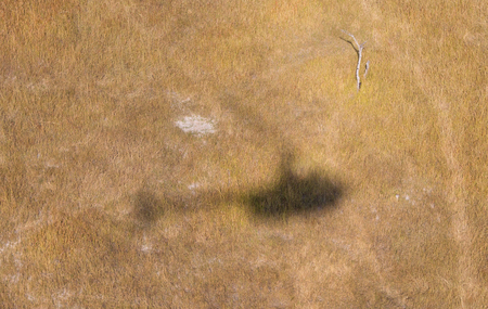 Shadow of a helicopter flying - Okavango - Botswanaの写真素材