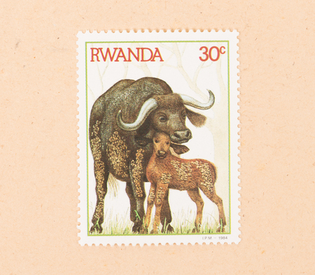 RWANDA - CIRCA 1984: A stamp printed in Rwanda shows a waterbuffalo with a young, circa 1984の写真素材