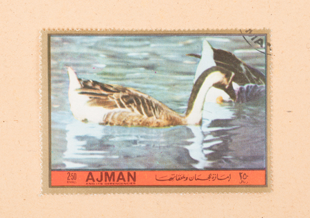 UNITED ARAB EMIRATES - CIRCA 1972: A stamp printed in the United Arab Emirates shows a bird (goose), circa 1972のeditorial素材