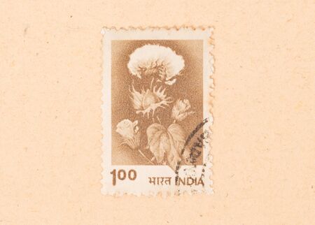 INDIA - CIRCA 1970: A stamp printed in India shows a flower, circa 1970