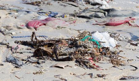 Environment concept, trash pollution on the beach, Ifaty, Madagascar
