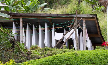 White towels and sheets drying in a jungle hotel on Madagascarの写真素材
