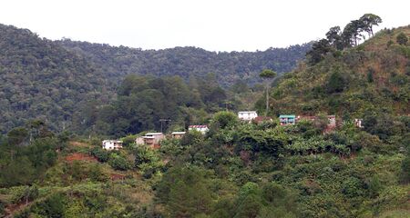 Typical Malagasy landscape, village in the jungle