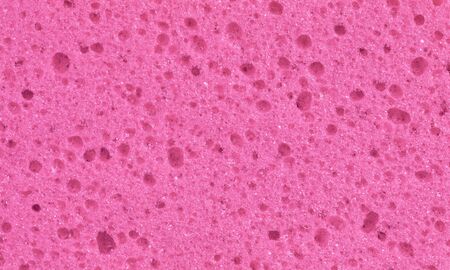 Sponge isolated, used for cleaning, filled with air bubblesの写真素材
