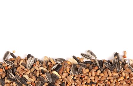 Birdfood - Mixed seeds, grain, nuts and corn, isolatedの写真素材