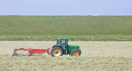 Tractor and grass turner work in dutch meadow, haymaking