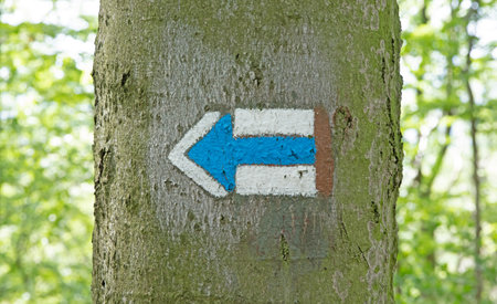 Marking the tourist route painted on the tree - Travel route signの写真素材