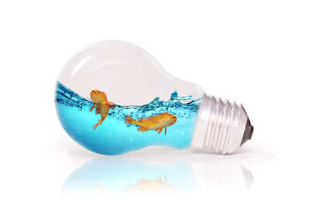 Lightbulb with water and fish inside, isolated on whiteの写真素材
