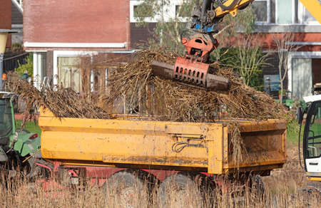Gathering already with a large grab crane, the Netherlandsの写真素材