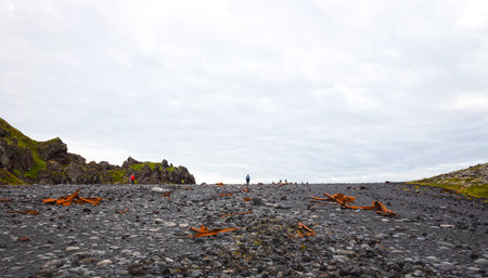 Snaefellsnes, Iceland on August 8, 2021: Remains of a boat wreck at the black beach on Iceland Snaefellsnesのeditorial素材