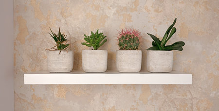 Four pots with cactus and other plants, yellow background