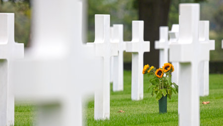 US military cemetery for World War Two in the Netherlands, selectively focusedのeditorial素材
