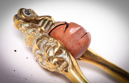 Large nut with vintage nutcracker, isolated on whiteの写真素材