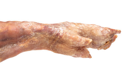Leg of spanish jamon serrano, dry cured ham, on a white background, half eaten
