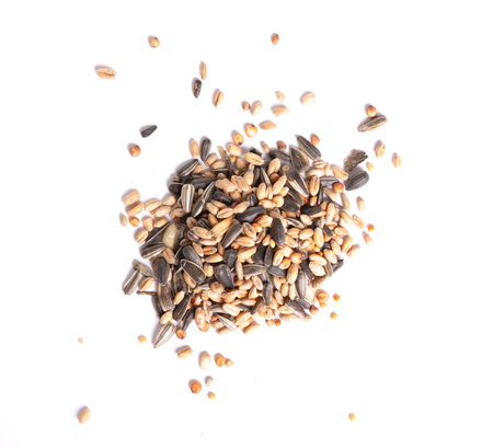 Table seed bird food mix cut out on a white backgroundの写真素材