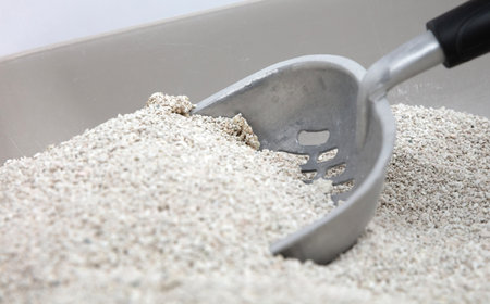 Cat litter box with a scoop, isolatedの写真素材