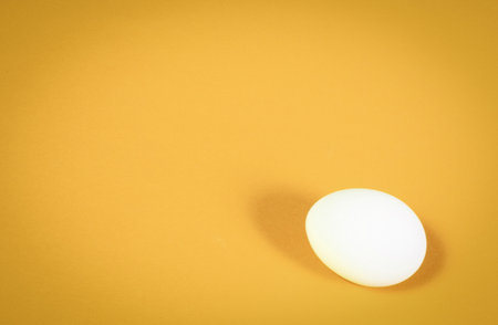 One white chicken egg on an orange background close-up