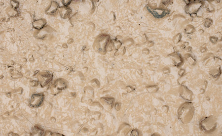 Brown puddle on the forest floor in Finland, closeupの写真素材