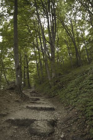 ojcowski national park in close neighbourhood of cracowの写真素材