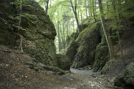 ojcowski national park in close neighbourhood of cracowの写真素材