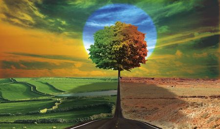 strange landscape with big tree in centerの写真素材