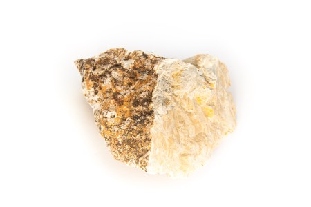 fossil of jurassic sponge detailed macro shot (hyalotragos)の写真素材