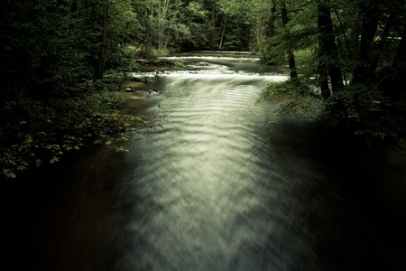 river between some trees in dark and scary forest