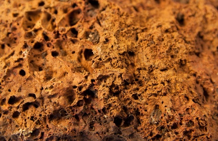 macro shot of a fine grained, extremely vesicular volcanic rock called pumiceの写真素材