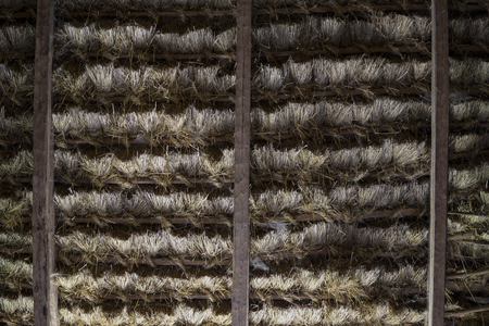 inside detailed view of old thatched roofの写真素材